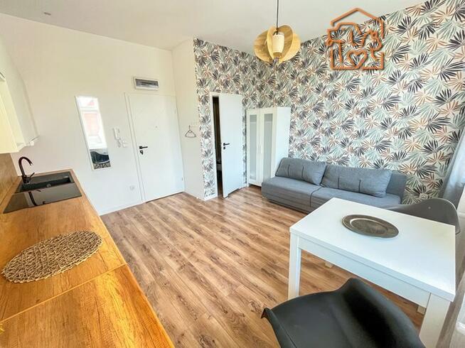 Nowogrodzka 4,Okole,przyjazna zwierzętom kawalerka