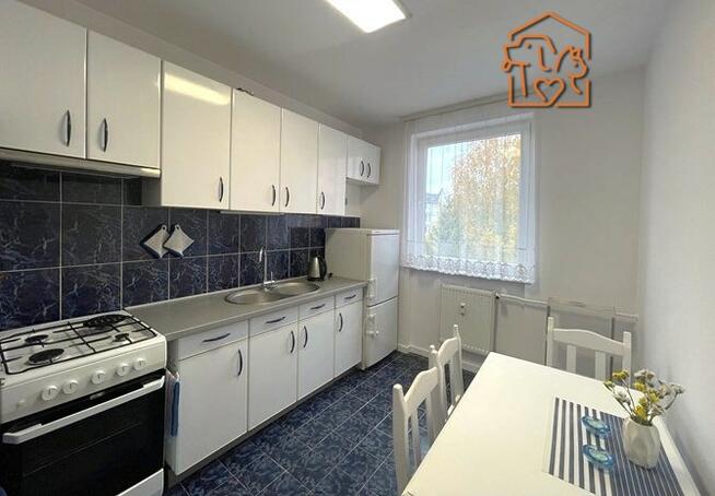2 pokoje, 57 m2, pet-friendly - Piotrkowska 10
