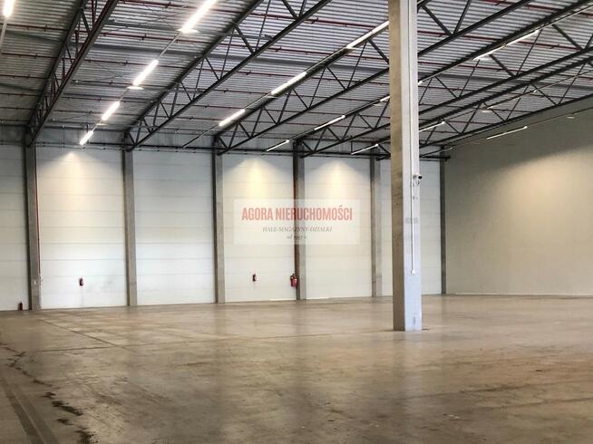 HALA MAGAZYN 1864 m2 + BIURO 214 m2 BALICE TIR ENG