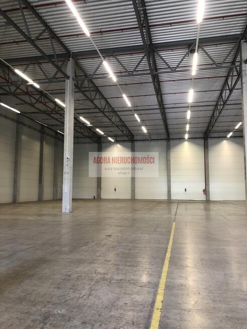 HALA MAGAZYN 1864 m2 + BIURO 214 m2 BALICE TIR ENG