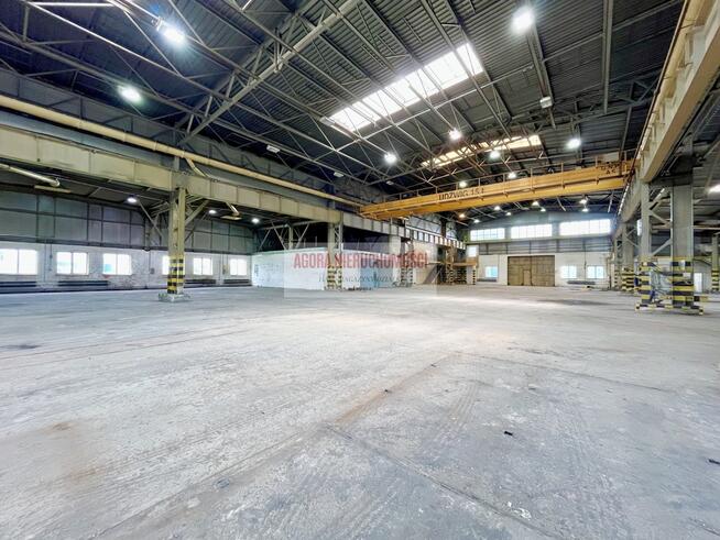 MAGAZYN RYBITWY od 1000 do 3000 m2 duży plac TIR