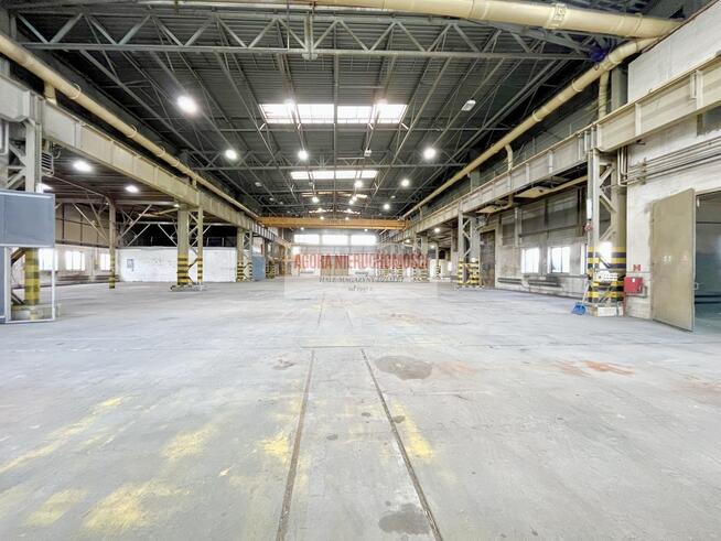 MAGAZYN RYBITWY od 1000 do 3000 m2 duży plac TIR