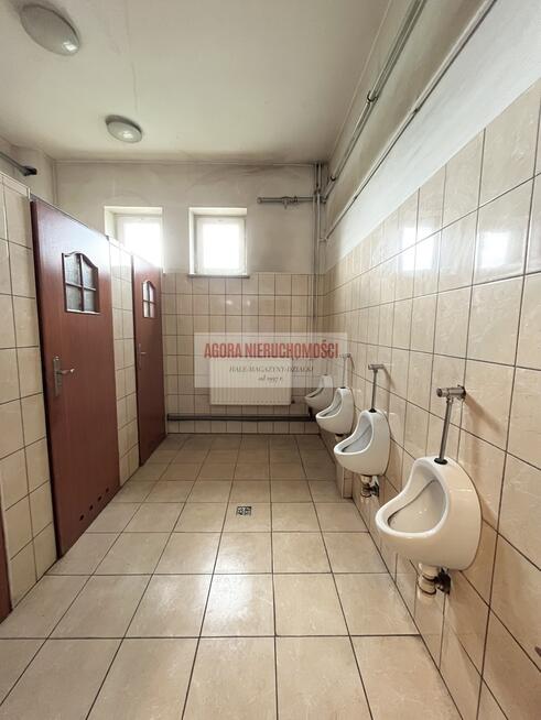 MAGAZYN RYBITWY od 1000 do 3000 m2 duży plac TIR