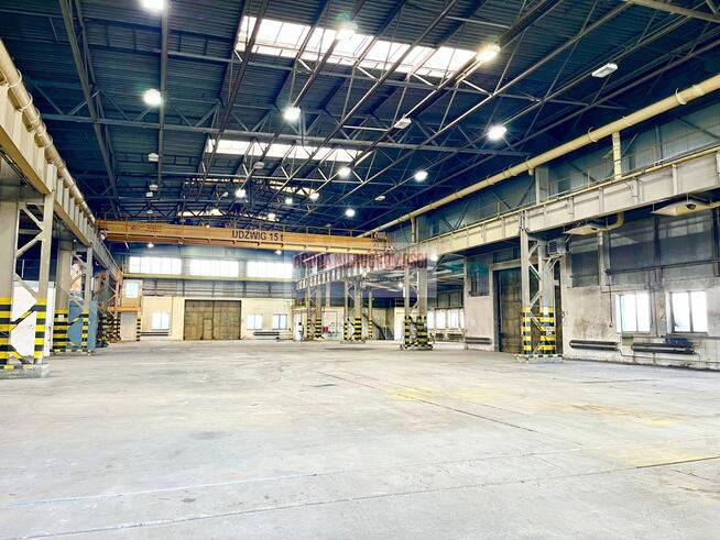 MAGAZYN RYBITWY od 1000 do 3000 m2 duży plac TIR