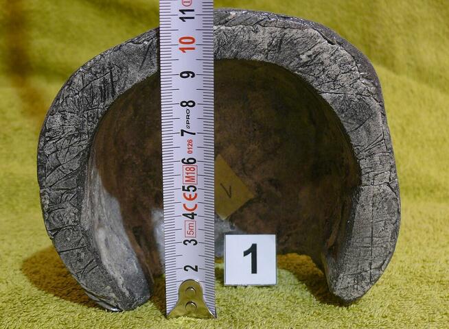 Grota dla ptasznika, żółwia lądowego, albo innego zwierza