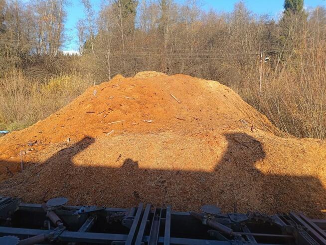 Sprzedam trociny poprodukcyjne – mokre