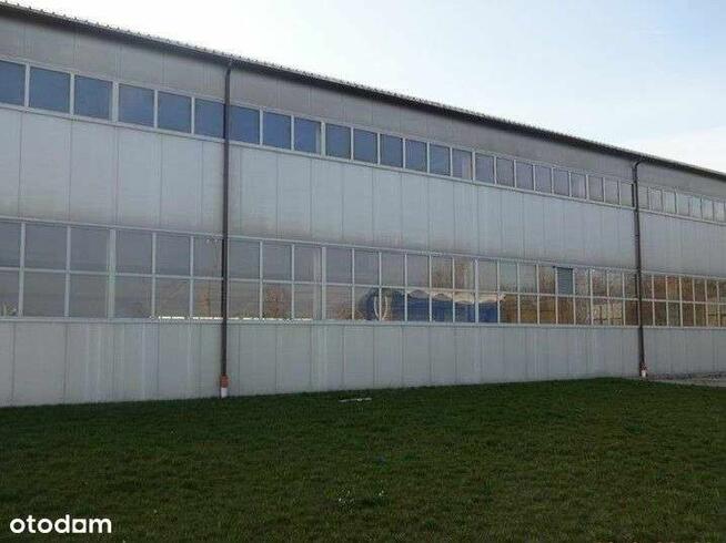 Hala produkcyjno- magazynowa ok 650 m2