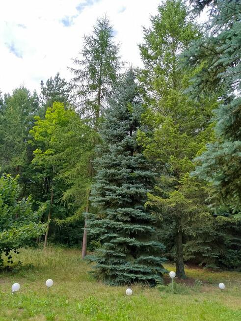 Murowany dom 120 m z działką 2500 m przy lesie–Łódź, Krzywiec