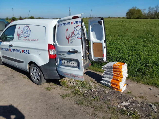 Nasiona kukurydzy Pioneer P8834 P89699 P8329 P8904 P9241 itd