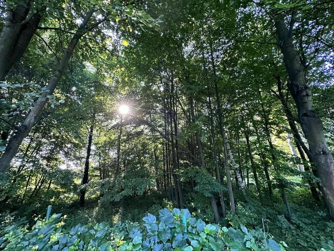 Dom poza miastem - spokój i brak sąsiadów! Działka 55 ar!