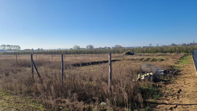 Działka budowlana 2000m2 Chełmica Duża
