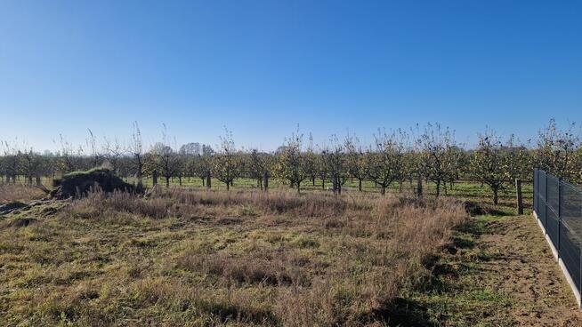 Działka budowlana 2000m2 Chełmica Duża