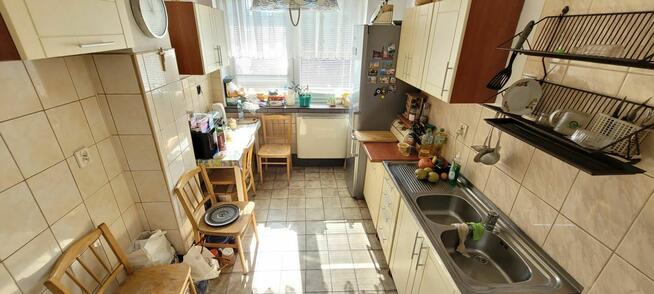 Bliźniak w Cieplicach