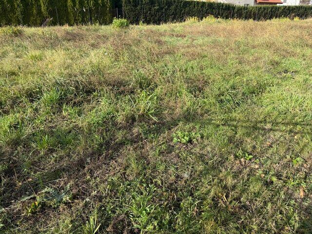 Błonie, budowlana, ogrodzona, woda,kanal.na działce, prąd,gaz