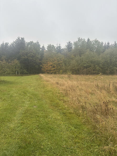 Działka rolna Wysokie gm. Limanowa