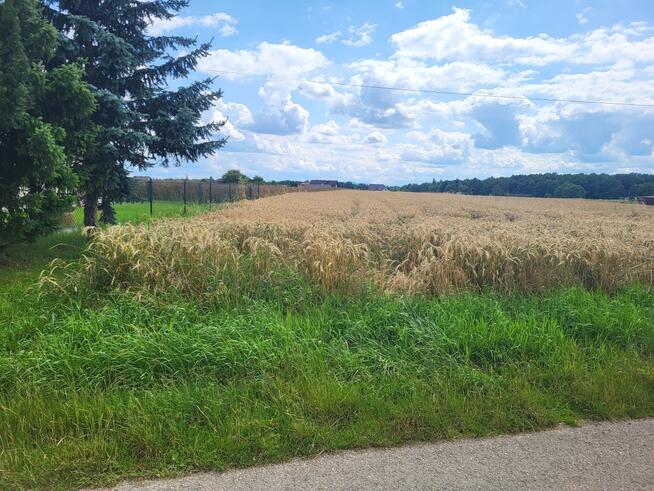 Atrakcyjna działka w Pruchnej koło Skoczowa