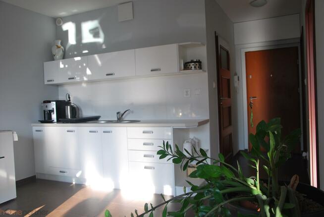 Lokal użytkowy Wrocław Stare Miasto, Inżynierska