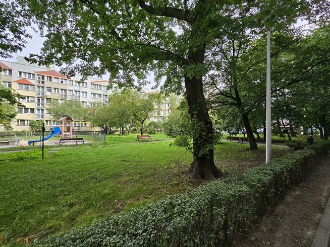 Mieszkanie Wrocław Krzyki, Śliczna