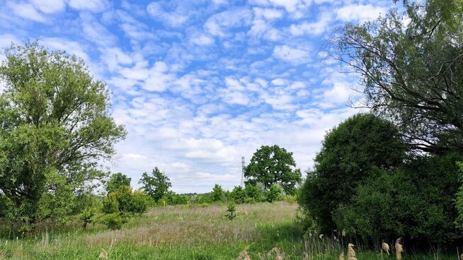 Dom Siechnice, Henryka III