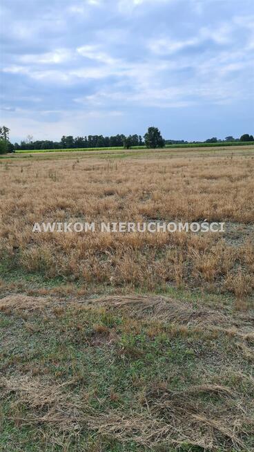 Działka budowlana Jaktorów Grądy