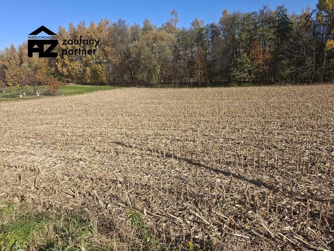 Działka budowlana Bodzanów gm. Biskupice