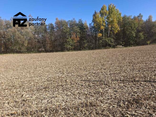 Działka budowlana Bodzanów gm. Biskupice