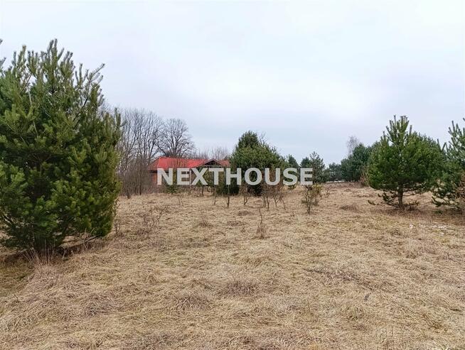 Działka leśna Kroczyce Piaseczno