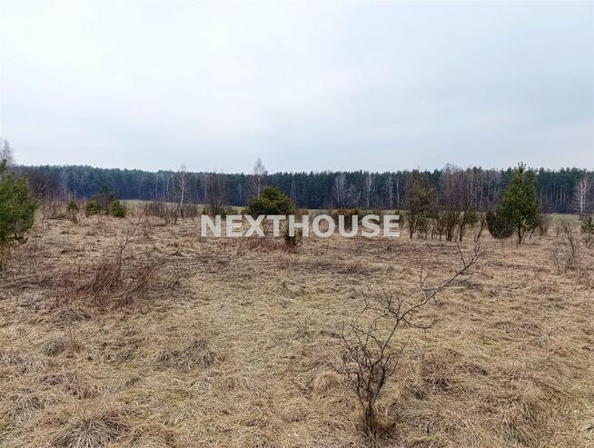 Działka leśna Kroczyce Piaseczno