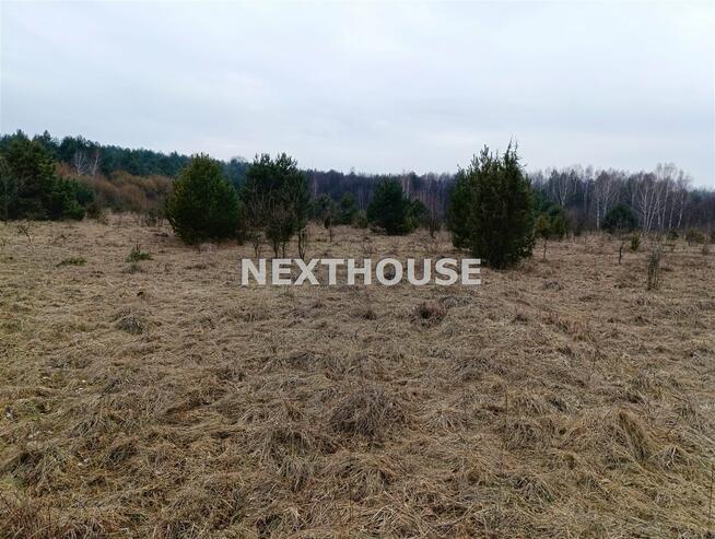 Działka leśna Kroczyce Piaseczno