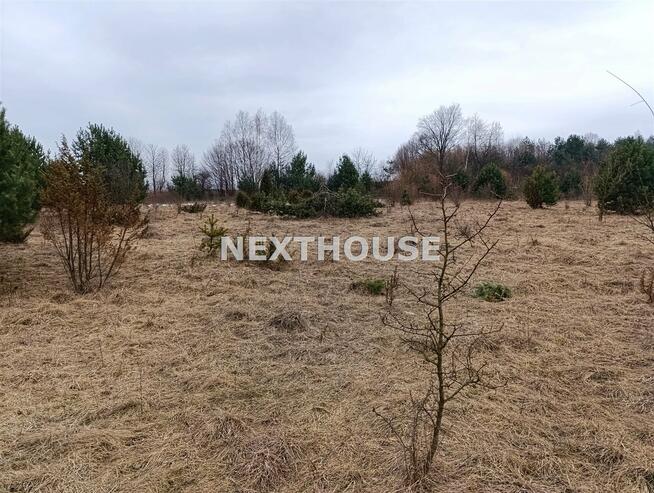 Działka leśna Kroczyce Piaseczno