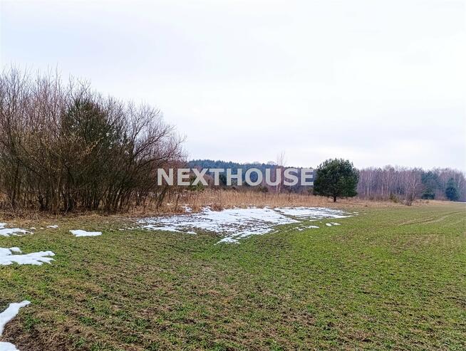 Działka leśna Kroczyce Piaseczno