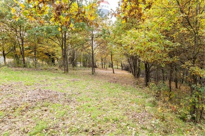 Działka leśna 862 m² w Oczkowie