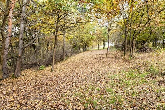 Działka leśna 862 m² w Oczkowie