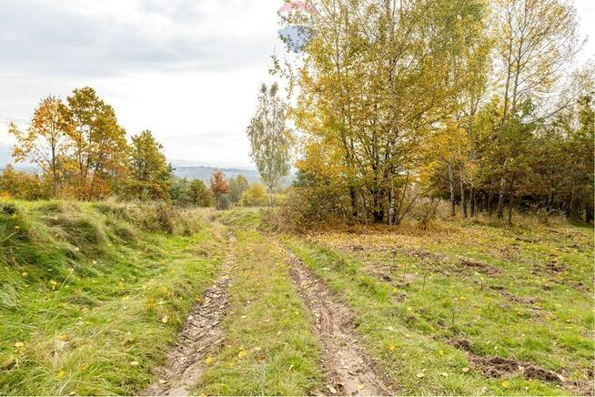 Działka leśna 862 m² w Oczkowie