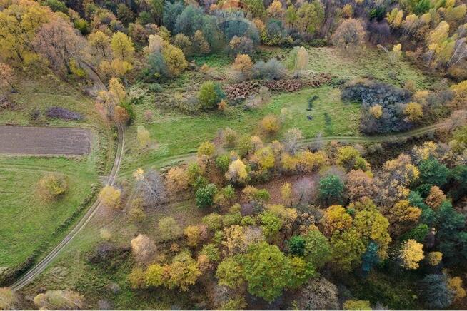 Działka leśna 862 m² w Oczkowie