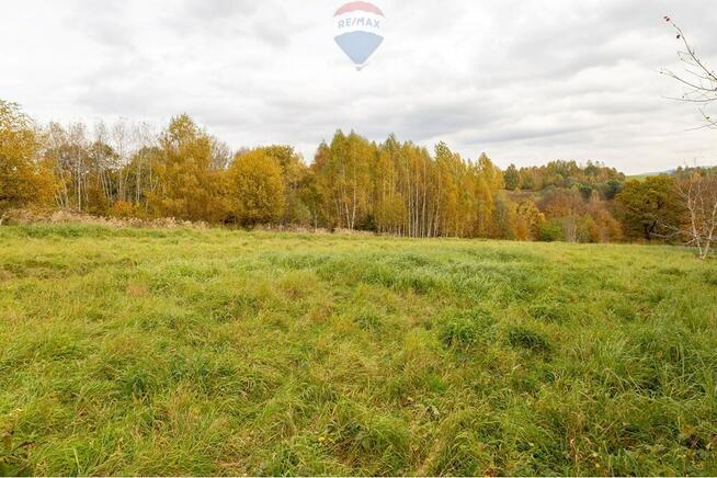 Działka rolna w Oczkowie