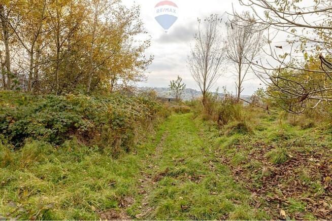 Działka rolna w Oczkowie