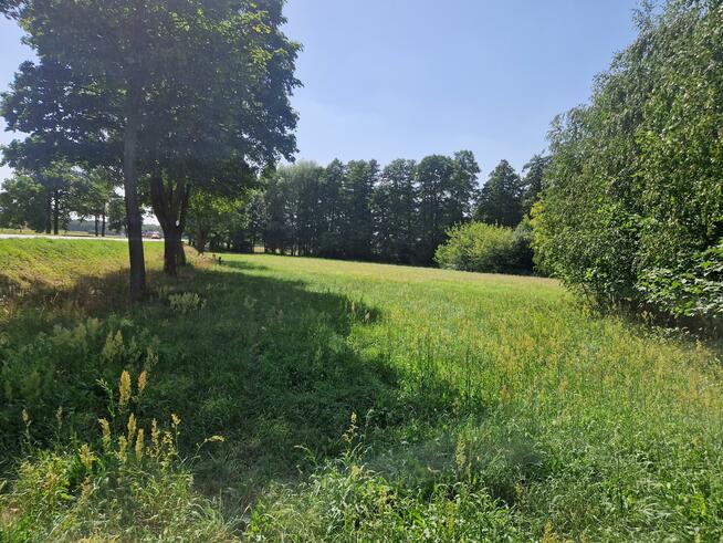 Działka inwestycyjna Borysławice Zamkowe gm. Grzegorzew