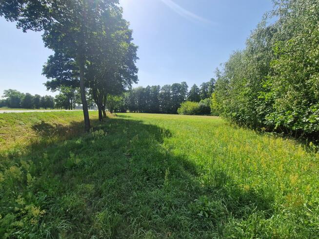 Działka inwestycyjna Borysławice Zamkowe gm. Grzegorzew