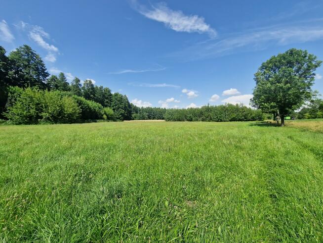 Działka inwestycyjna Borysławice Zamkowe gm. Grzegorzew
