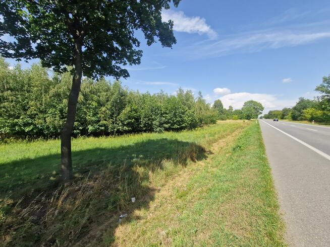 Działka inwestycyjna Borysławice Zamkowe gm. Grzegorzew