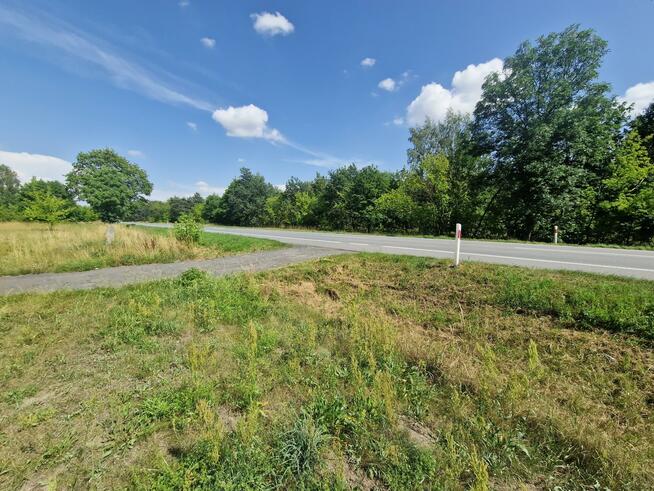 Działka inwestycyjna Borysławice Zamkowe gm. Grzegorzew