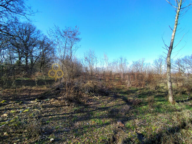 Działka inwestycyjna Serby gm. Głogów,