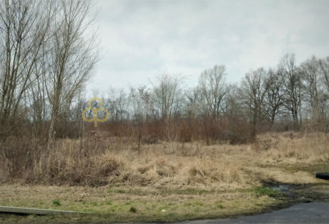 Działka inwestycyjna Serby gm. Głogów,