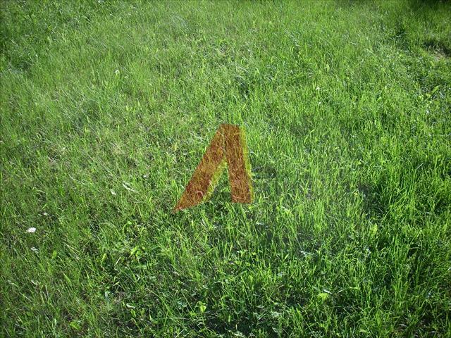 Działka budowlana Kraków Podgórze, Skotniki, Działowskiego