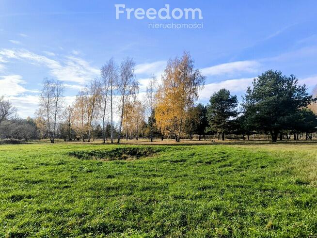 Stare Budy Radziejowskie -2400m2 - prąd!