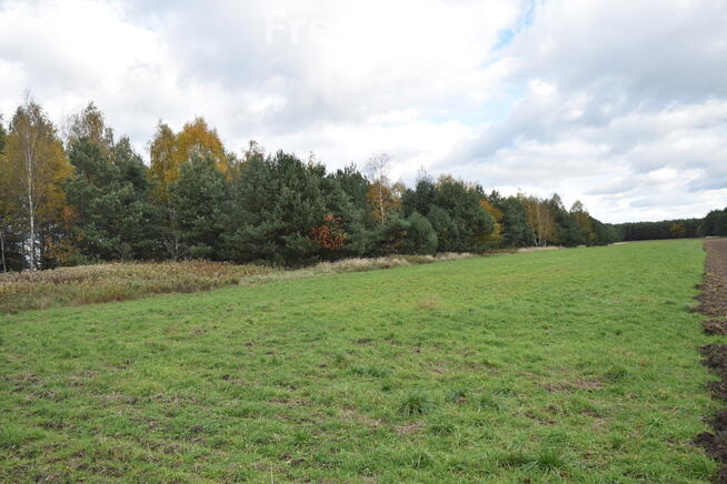 Dom wolnostojący 135 m2, działka 3200 m2,