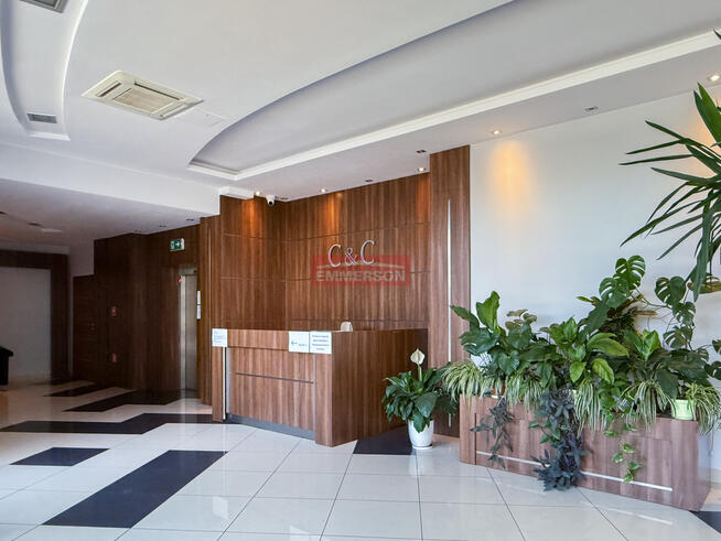 Do wynajęcia biuro 246 m2 w Krakowa - ul. Balicka