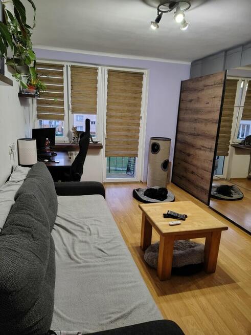 sprzedam mieszkania 37,9m