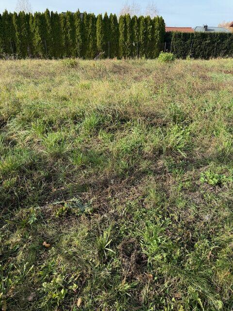 Błonie, budowlana, ogrodzona, woda,kanal.na działce, prąd,gaz